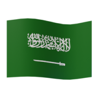 flag: Saudi Arabia