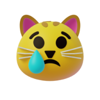 crying cat