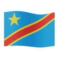 flag: Congo - Kinshasa
