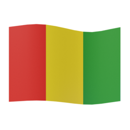 flag: Guinea