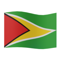 flag: Guyana