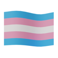 transgender flag
